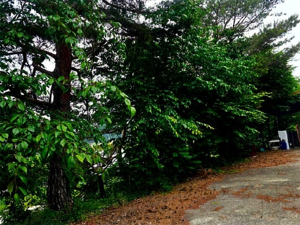 충청남도 논산시 연산면 어은리 95-1 창고 경매 사진 39
