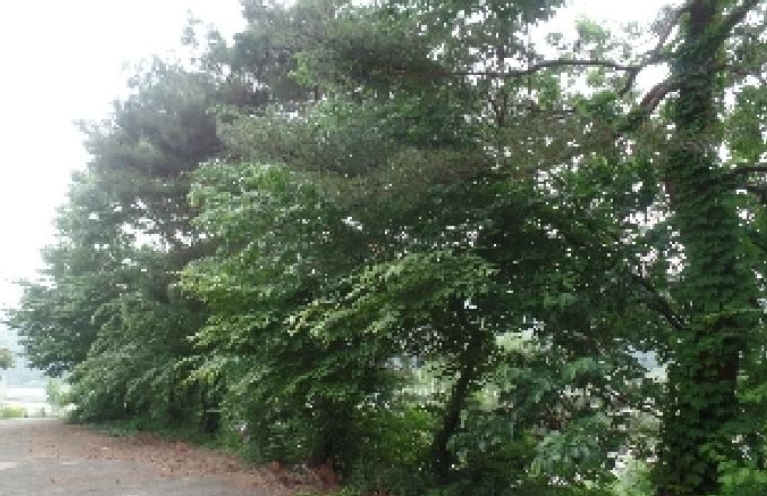 충청남도 논산시 연산면 어은리 95-1 창고 경매 사진 43