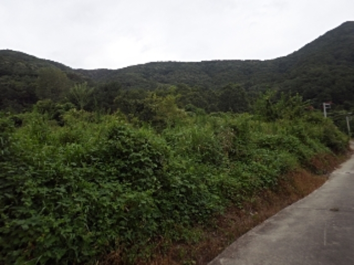경상남도 밀양시 무안면 화봉리 788 전 경매 사진 18