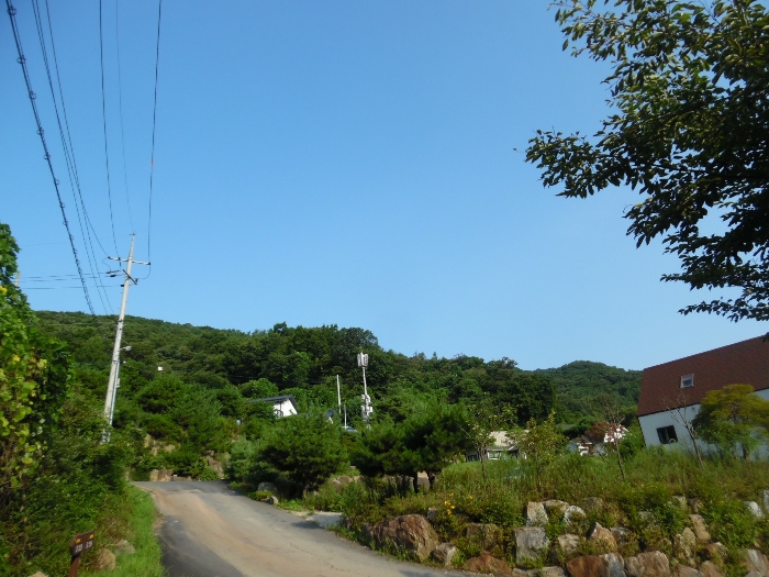 경기도 양평군 강하면 동오리 771-14 외 2필지 도로 경매 사진 10