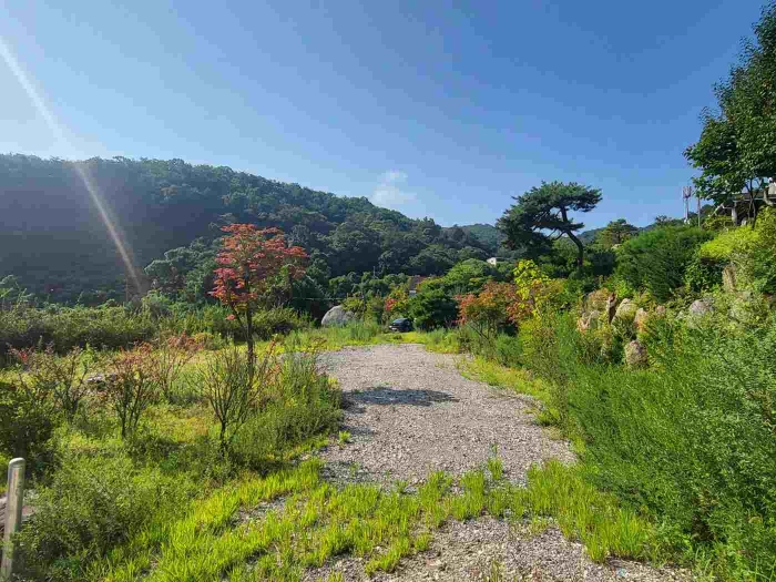 경기도 양평군 강하면 동오리 771-4 외 3필지 목장용지 경매 사진 2