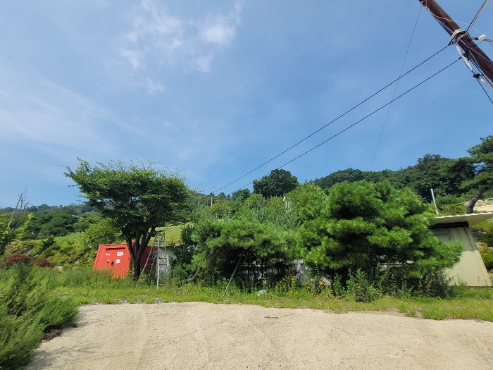 경기도 양평군 강하면 동오리 771-4 외 3필지 목장용지 경매 사진 19
