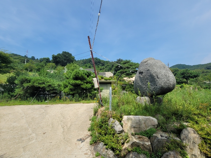 경기도 양평군 강하면 동오리 771-4 외 3필지 목장용지 경매 사진 20