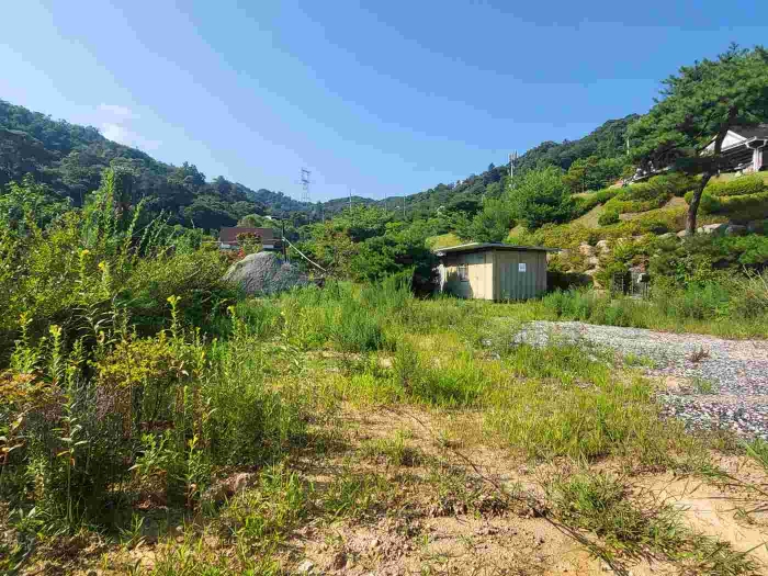 경기도 양평군 강하면 동오리 771-4 외 3필지 목장용지 경매 사진 3