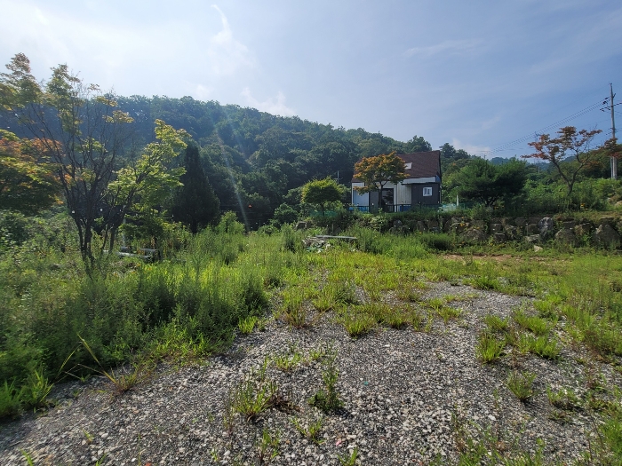 경기도 양평군 강하면 동오리 771-4 외 3필지 목장용지 경매 사진 22