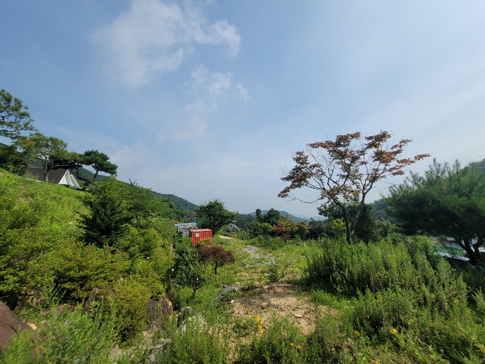 경기도 양평군 강하면 동오리 771-4 외 3필지 목장용지 경매 사진 23