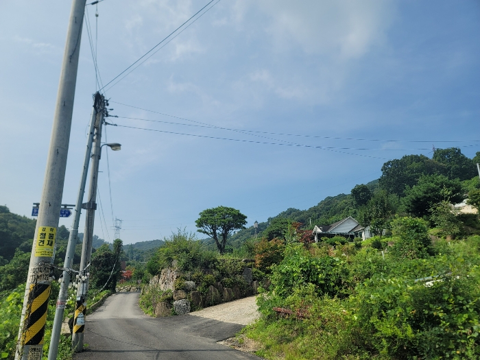 경기도 양평군 강하면 동오리 771-4 외 3필지 목장용지 경매 사진 29
