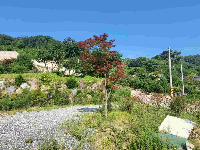 경기도 양평군 강하면 동오리 771-4 외 3필지 목장용지 경매 사진 5