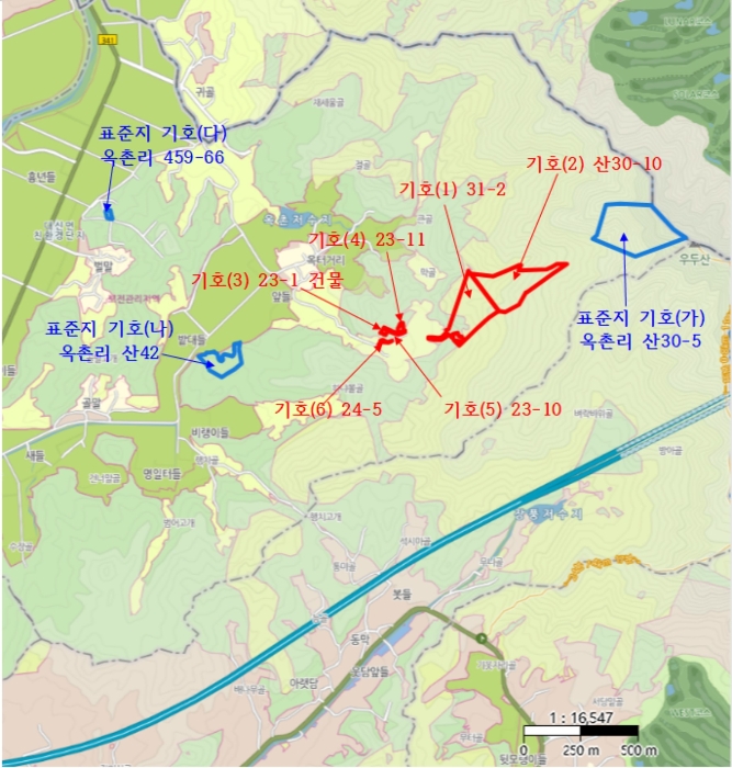 경기도 여주시 대신면 옥촌리 31-2 외 1필지 임야 경매 사진 12