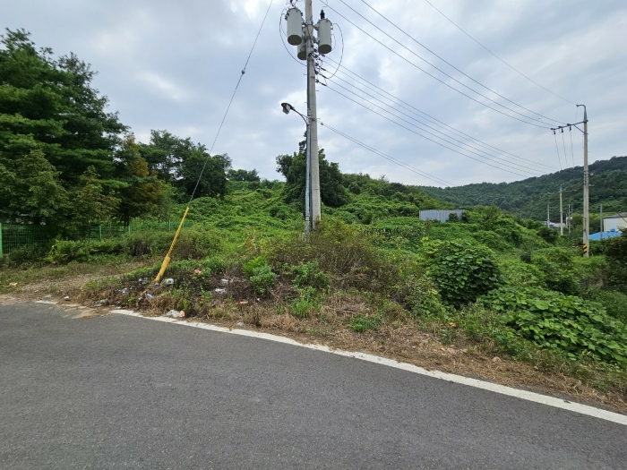 경기도 김포시 양촌읍 대포리 83-26 외 1필지 임야 경매 사진 14
