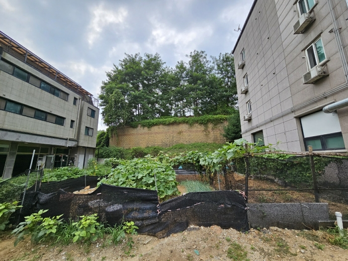 경기도 김포시 양촌읍 대포리 83-26 외 1필지 임야 경매 사진 17