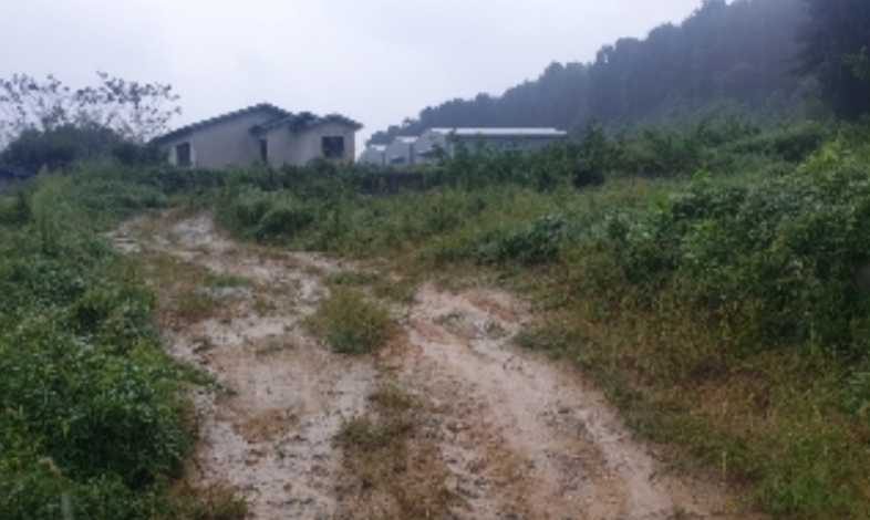 충청북도 음성군 생극면 관성리 783-14 외 11필지 전 경매 사진 11