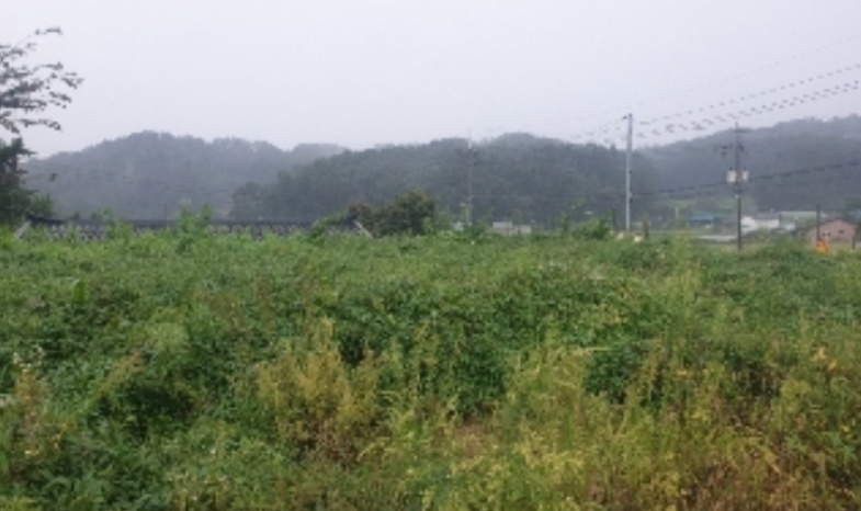 충청북도 음성군 생극면 관성리 783-14 외 11필지 전 경매 사진 13