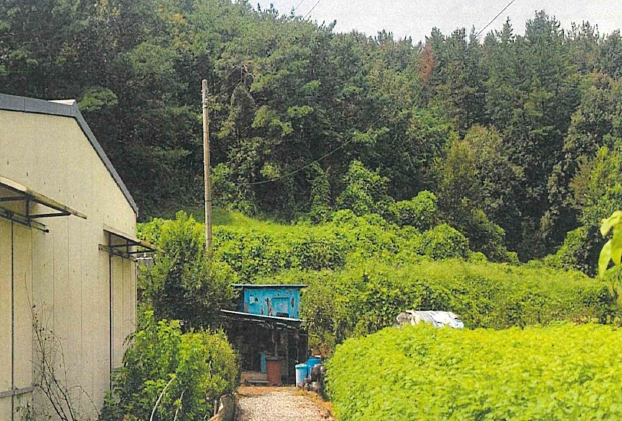 경상남도 함안군 법수면 백산리 415 전 경매 사진 9