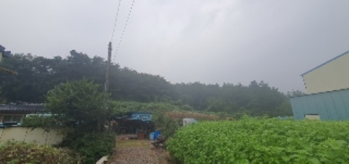 경상남도 함안군 법수면 백산리 415 전 경매 사진 11