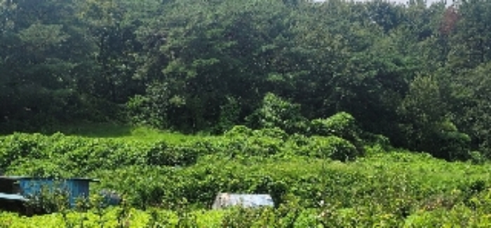 경상남도 함안군 법수면 백산리 415 전 경매 사진 14