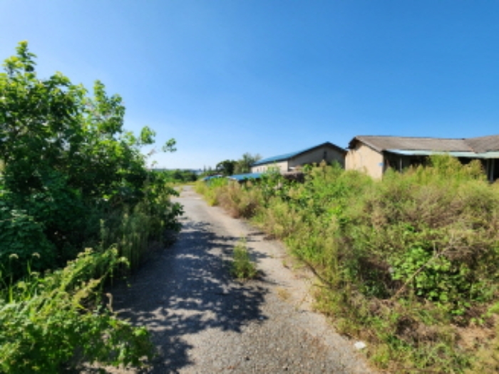 충청남도 천안시 서북구 성환읍 성환리 204-8 외 15필지 단독주택 경매 사진 34