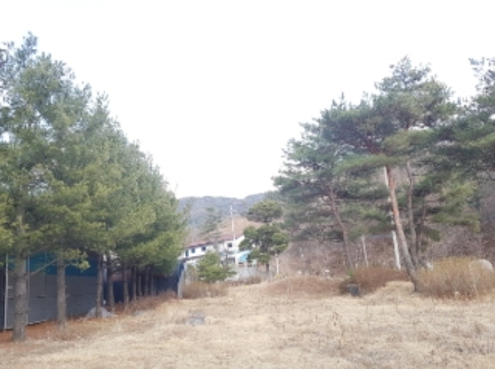 강원특별자치도 춘천시 동면 월곡리 237 외 9필지 근린생활시설 경매 사진 18