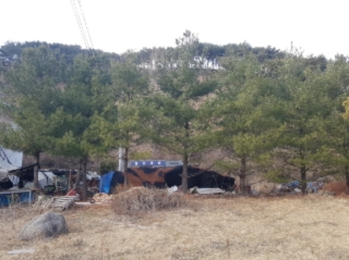 강원특별자치도 춘천시 동면 월곡리 237 외 9필지 근린생활시설 경매 사진 22