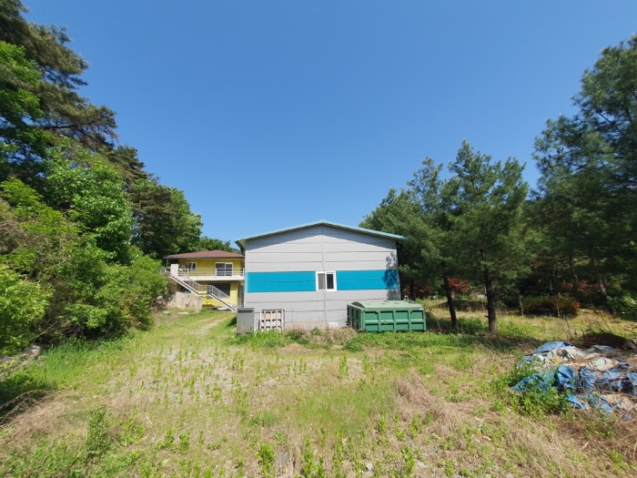 강원특별자치도 춘천시 동면 월곡리 237 외 9필지 근린생활시설 경매 사진 34