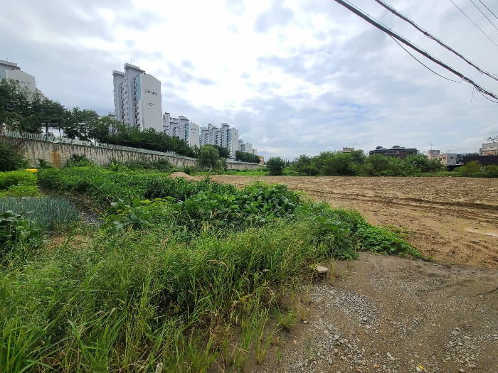 충청남도 당진시 송악읍 중흥리 224-4 외 1필지 상가주택 경매 사진 21
