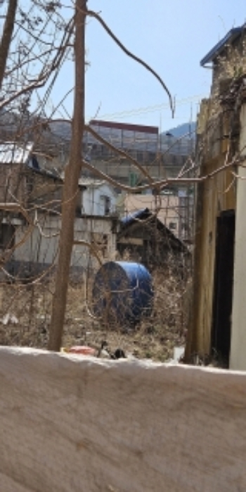 부산광역시 부산진구 부전동 532-47 외 1필지 대지 경매 사진 6