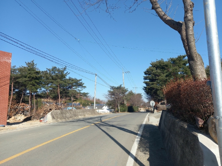 울산광역시 울주군 두동면 구미리 284-93 임야 경매 사진 6