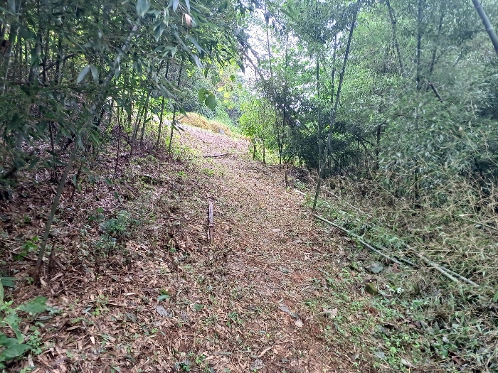 경상남도 남해군 이동면 신전리 985-9 전 경매 사진 12