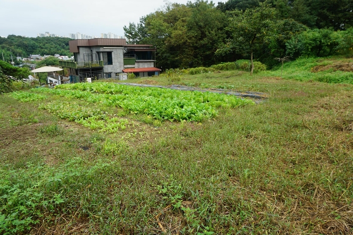 전라북도 전주시 완산구 삼천동2가 160-3 외 3필지 대지 경매 사진 23