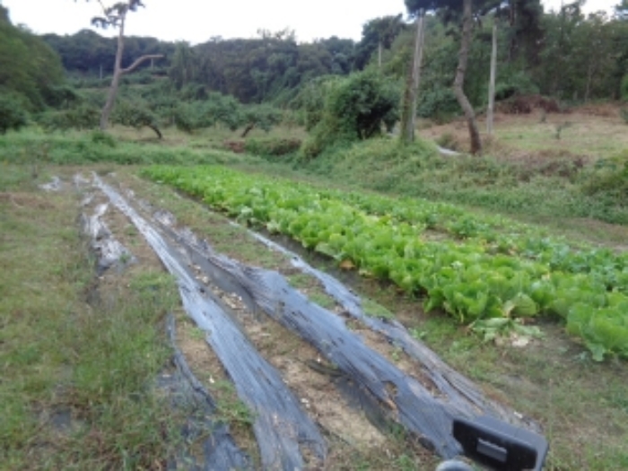 전라북도 전주시 완산구 삼천동2가 160-3 외 3필지 대지 경매 사진 4