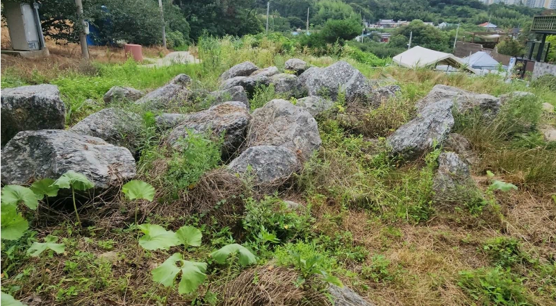 전라북도 전주시 완산구 삼천동2가 160-3 외 3필지 대지 경매 사진 10