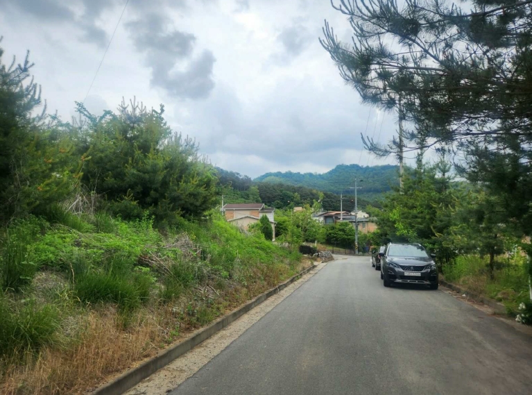 경기도 파주시 파주읍 봉서리 242-31 외 4필지 대지 경매 사진 1