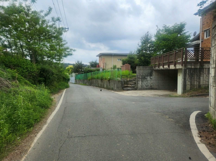 경기도 파주시 파주읍 봉서리 242-31 외 4필지 대지 경매 사진 2