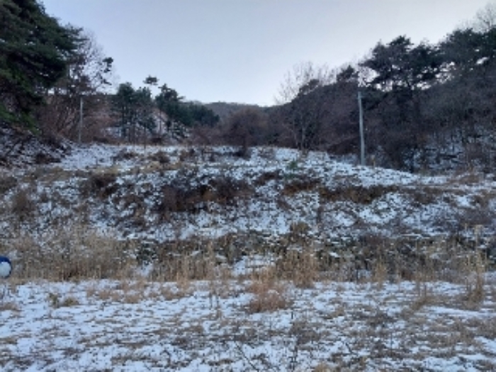 충청남도 공주시 유구읍 문금리 480-11 외 2필지 전 경매 사진 1