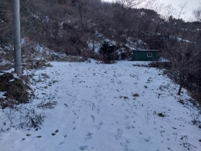 충청남도 공주시 유구읍 문금리 480-11 외 2필지 전 경매 사진 2