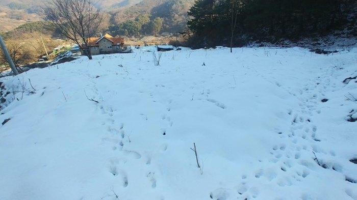 충청남도 공주시 유구읍 문금리 480-11 외 2필지 전 경매 사진 11