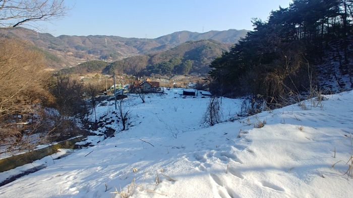 충청남도 공주시 유구읍 문금리 480-11 외 2필지 전 경매 사진 14