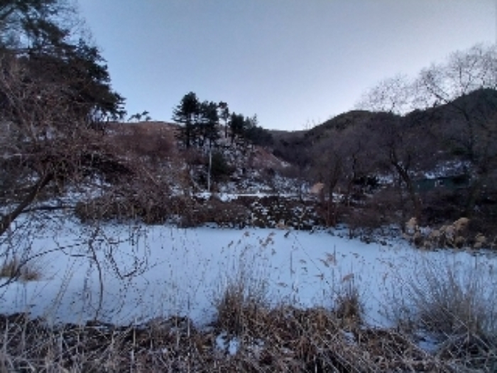 충청남도 공주시 유구읍 문금리 480-11 외 2필지 전 경매 사진 3