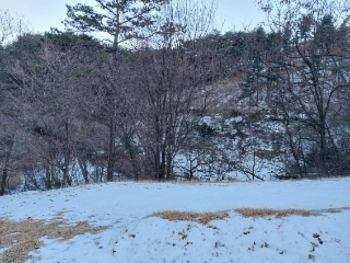 충청남도 공주시 유구읍 문금리 480-11 외 2필지 전 경매 사진 4