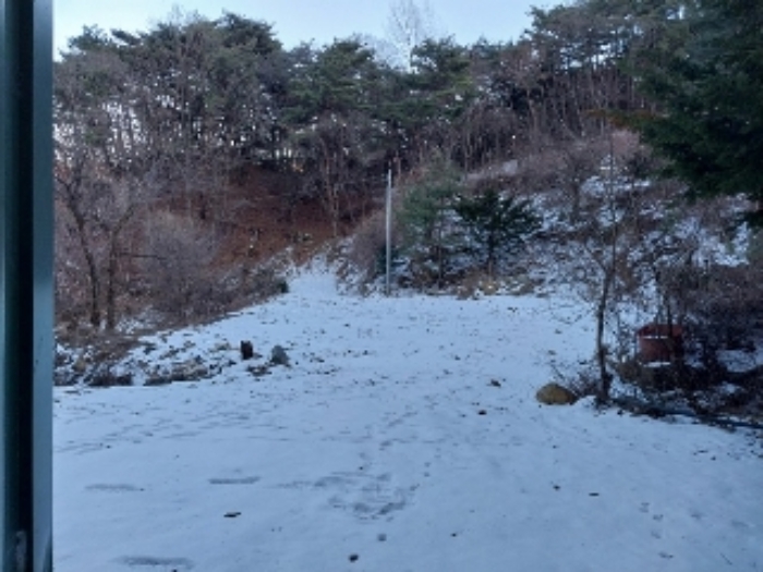 충청남도 공주시 유구읍 문금리 480-11 외 2필지 전 경매 사진 5