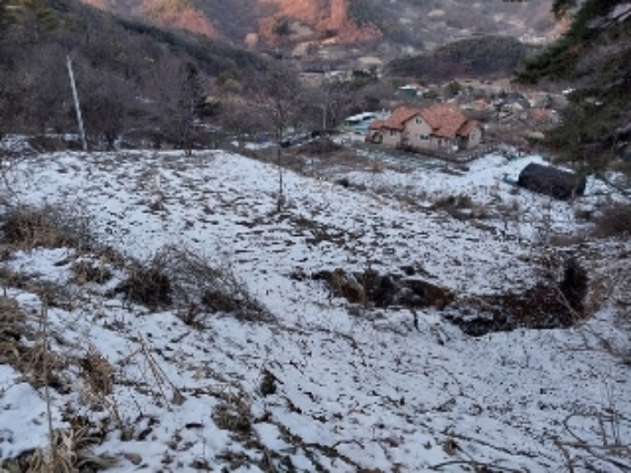 충청남도 공주시 유구읍 문금리 480-11 외 2필지 전 경매 사진 10