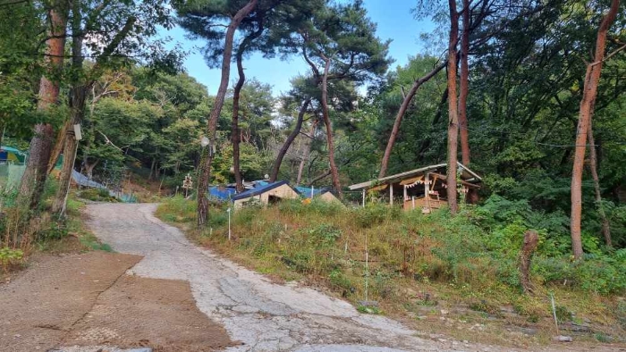 서울특별시 강북구 우이동 산80 임야 경매 사진 2