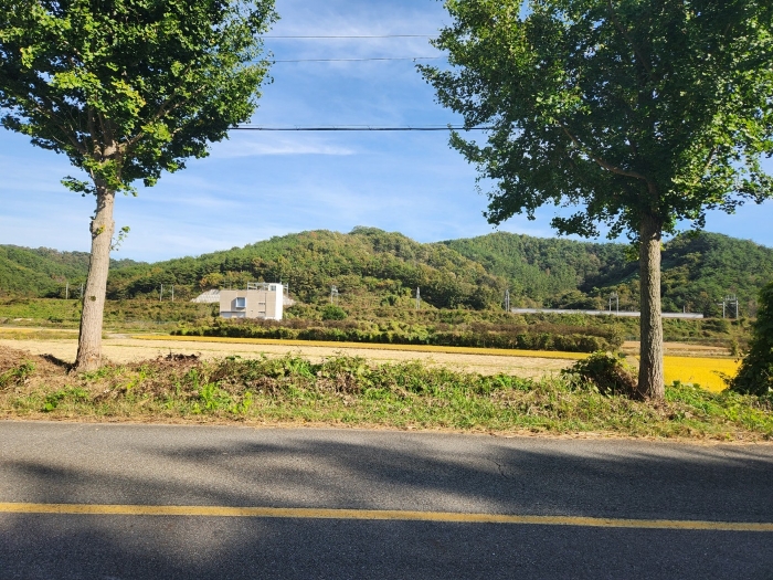 경상남도 진주시 사봉면 부계리 산366-2 외 1필지 임야 경매 사진 3