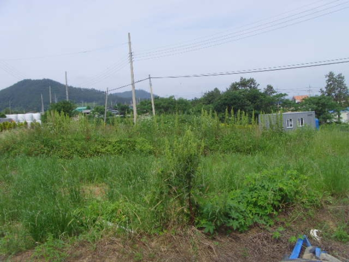 전라남도 해남군 삼산면 원진리 752-1 전 경매 사진 2