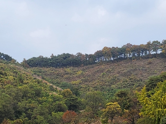 충청북도 제천시 금성면 월굴리 4 외 3필지 공장 경매 사진 12