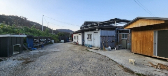 충청남도 금산군 남일면 상동리 630-24 외 1필지 단독주택 경매 사진 7
