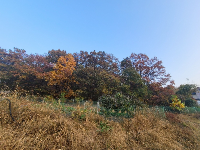 경기도 용인시 처인구 남사읍 북리 산100 임야 경매 사진 20