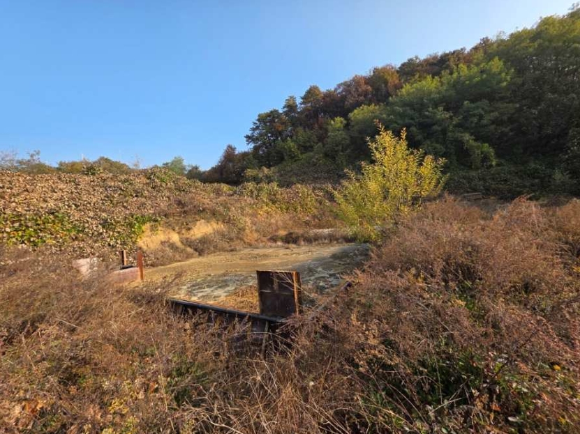 경기도 광주시 초월읍 늑현리 산13-23 외 9필지 임야 경매 사진 3
