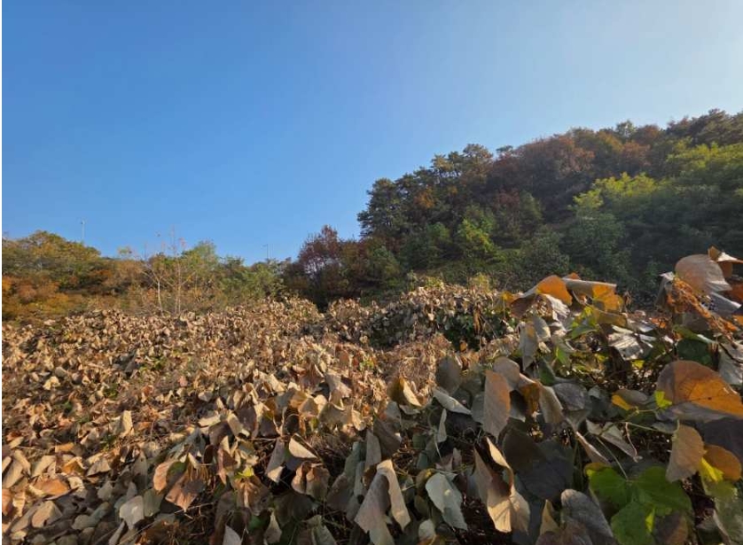 경기도 광주시 초월읍 늑현리 산13-23 외 9필지 임야 경매 사진 8