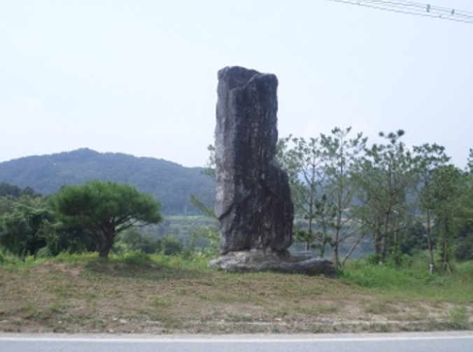 강원도 원주시 부론면 정산리 2121 외 1필지 전 경매 사진 8